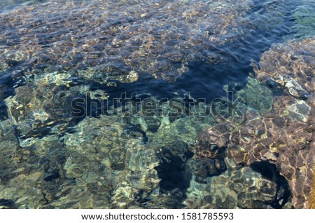 Sea bottom with water transparency and abstract shapes and colors.