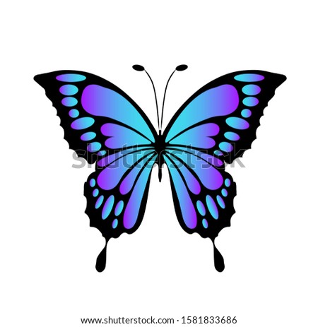 vector, clip art, illustration butterfly black & blue gradient purple