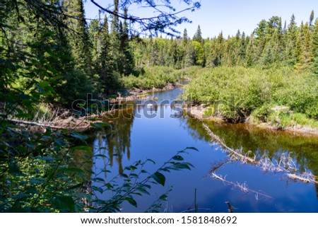 Creek through green Canadian forest with blue sky
