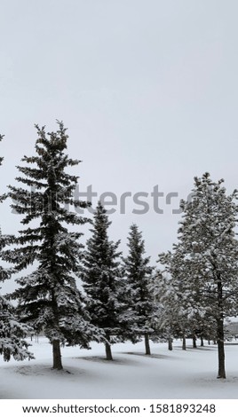 A gorgeous day starting with the snow of edmonton , alberta