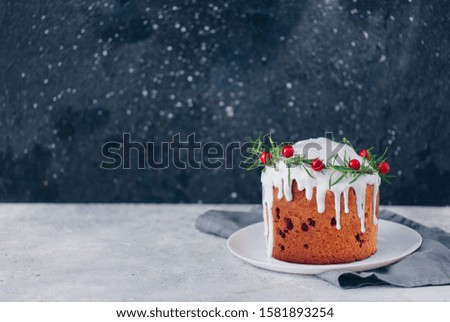 Traditional fruitcake for Christmas decorated with powdered sugar and fresh berry. Copy Space 