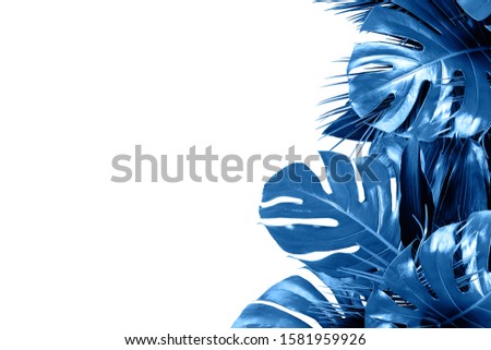 Trendy blue colored various lush tropical leaves isolated on white background. Copy space, open composition. Color trend concept.