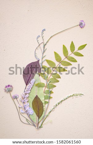 A vertical shot of a beautiful composition of flowers and leaves on white background