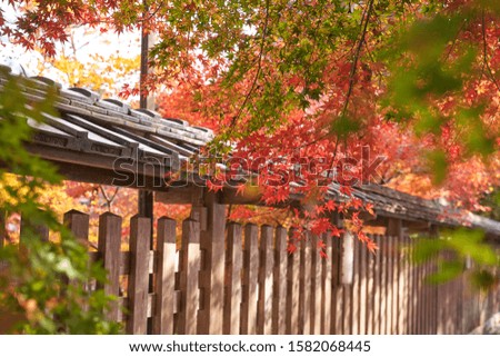 This picture is beautiful autumn scenery in Japan