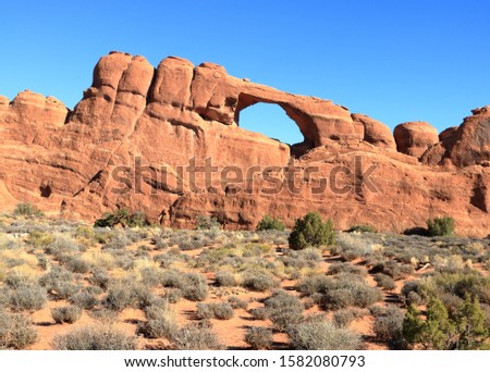 Desert beauty at Skyline Arch, Arches National Park