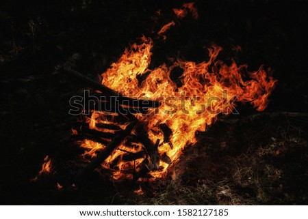 Burning firewood in the forest