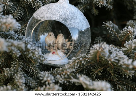 Christmas festive decor. Decorative birds in a glass cocoon on a Christmas tree in hoarfrost background.Winter time.winter Wallpaper.Christmas tree decor