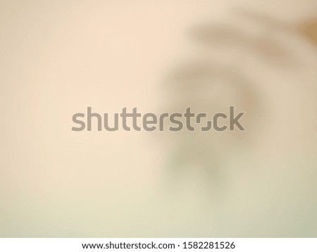 shadows of leaf and branch on glass sheet use as background