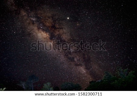 Long exposure photo of the Milky Way set in a starfield, in a moonless cloudless night, rising over the canopy of tropical rainforest of French Guiana