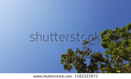 Blue sky and some parts of Trees