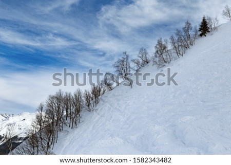 Slope of mountain covered snow and trees growing on it.  Winter landscape in Caucasus mountains. White snow and blue sky with clouds. Travel to Russia.