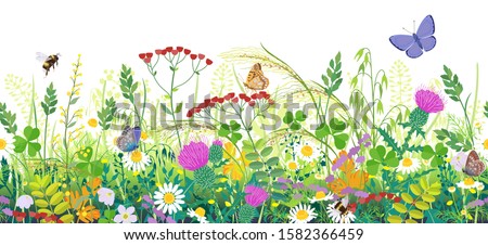 Seamless horizontal border with summer meadow plants and insects. Green grass, colorful wild flowers, bumblebees and butterflies on white background. Floral natural pattern vector flat illustration. Royalty-Free Stock Photo #1582366459