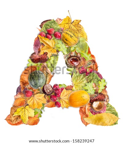 Letter A made of autumn colored leaves isolated on white background
