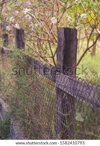 fence made from old wood and grid wire , view trees and green grass in the park behind at the morning