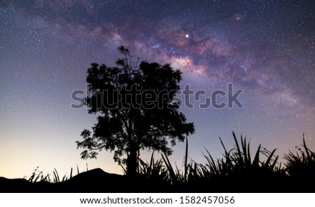 Night landscape of milky way cross the sky over the alone tree.