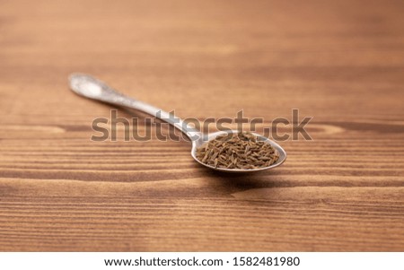 cilantro seeds in a silver spoon