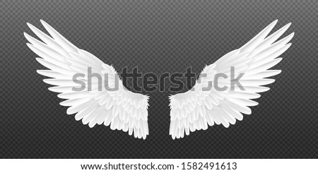 Realistic angel wings. White isolated pair of falcon wings, 3D bird wings design template. Vector concept white cute feathered wing animal on a transparent background Royalty-Free Stock Photo #1582491613