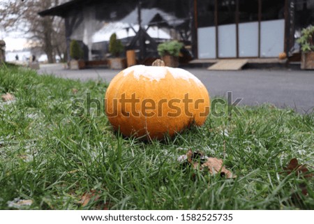 A halloween pumpkin with snow on top of it