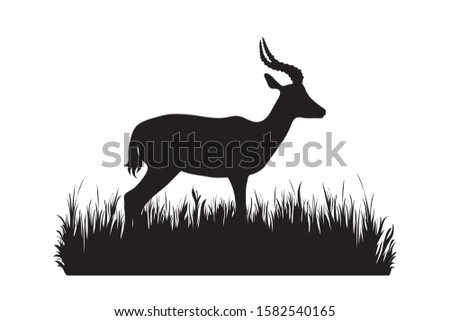 Vector silhouette of antelope in the grass on white background. Symbol of animal, zoo, Africa, safari, wild, nature, park, garden.