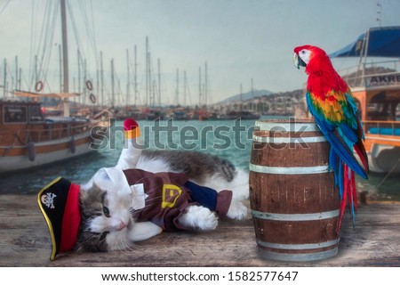  Funny cat in pirate costume on the seascape background and parrot
