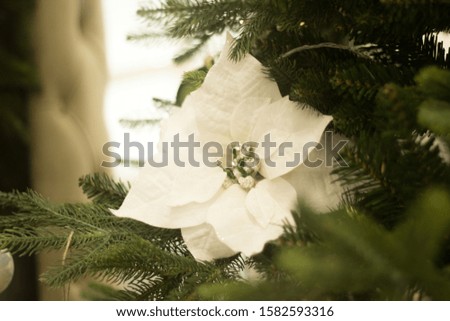 White flower on a Christmas tree