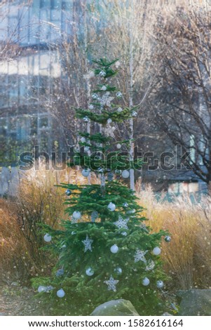 Decorated Christmas tree in the park