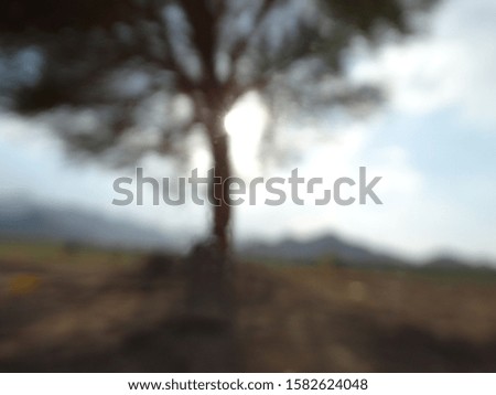 Landscape pictures of trees with sky and clouds