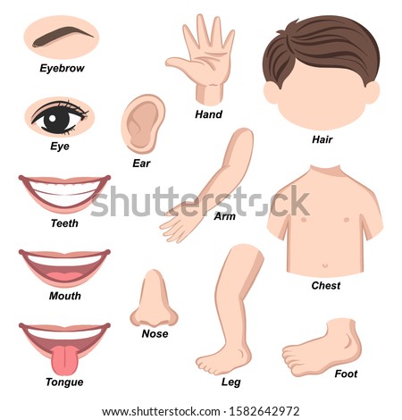 PART-HUMAN Stock Vector Images - Avopix.com