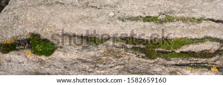 Stone rock texture. Nature,  grunge texture, background. Long web banner
