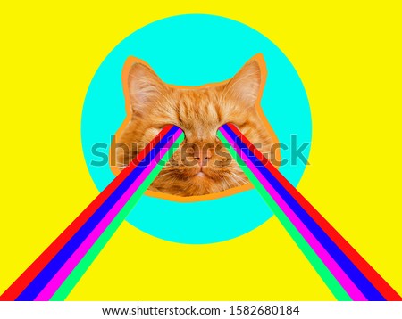 Angry funny cat with rainbow colored lasers from his eyes. The minimum concept of fashion collage. Collage of modern art