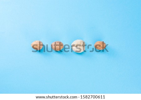 Three walnuts and brain mock up on a blue background. The shape of the human brain is similar to walnut kernels. This symbolizes the similarity of the brain to walnuts and the proven effectiveness 