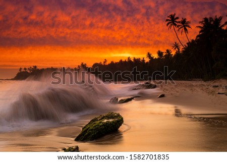 Romantic sunset on a tropical beach with palm trees.