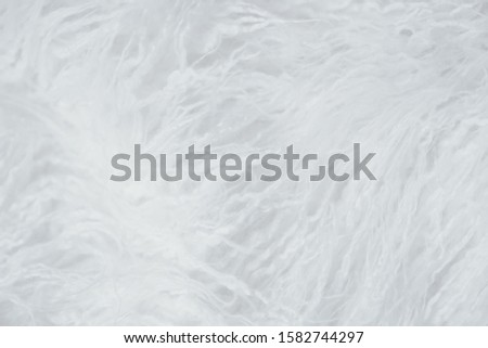 background white fur shaggy blanket texture