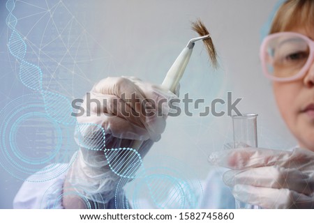 laboratory assistant examines a hair sample, curls in a package for research by genetic research in the laboratory, concept of DNA analysis, establishing paternity Royalty-Free Stock Photo #1582745860
