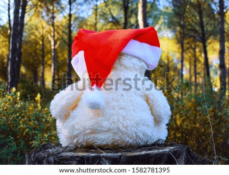 Christmas Cute Bear in the forest background