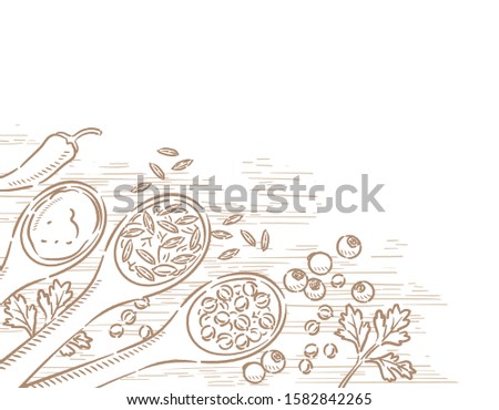 Spices on spoons for curry. Allspice, chili, coriander, cumin, garam masala or other spices. Vector illustration.	 Royalty-Free Stock Photo #1582842265