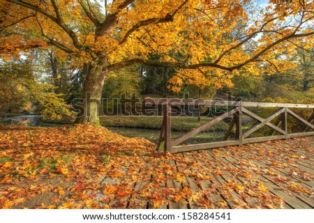 Rural autumn park view in beautiful color mood