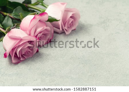 Flower arrangement - a bouquet of pink roses on a concrete surface, template for design or greeting card, place for text, copy space