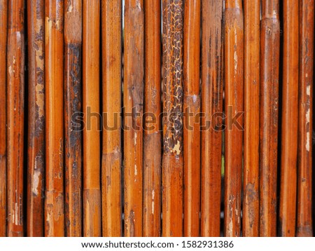 Wood texture and background design.