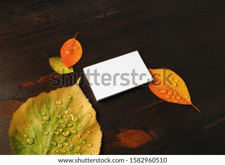 Photo of blank white paper business card and autumn leaves on wooden background. Mock-up for branding ID.