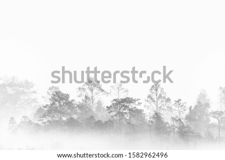 silhouette forest outline. fog covered jungle. Thailand multiple layers tropical wood land. 