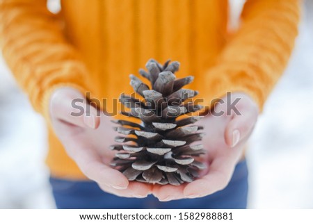 Close-up of a cute young woman holding pinecone in her hands