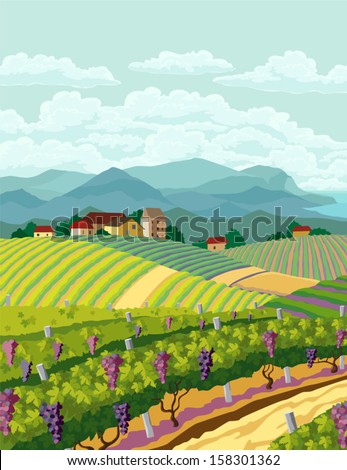 Rural landscape with vineyard and mountain panoram