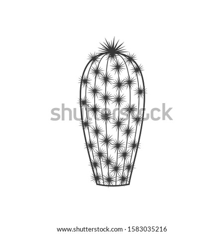Outline cactus and succulent plant vector illustration. Decorative isolated icon. Cartoon style doodle.