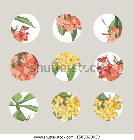 Set of design colorful templates icons and emblems - social media story highlight. Different blogger plumeria flowers icons in trendy style isolated.