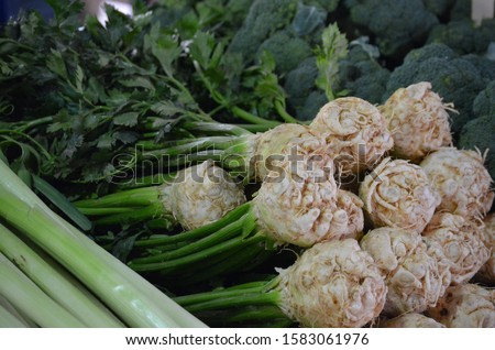 Root celery with green stems