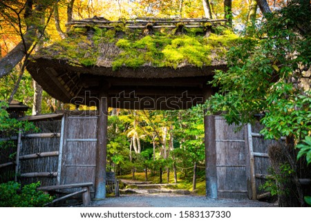 A thatched roof in a beautiful Kyoto Autumn garden.