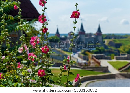The medieval castle in Kamianets-Podilskyi with stone walls and towers is surrounded by green areas. Beautiful pink flowers located on background of the castle