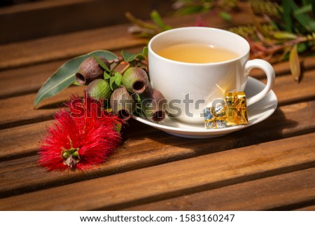 A cup of christmas tea with gum blossom and gum nuts, Australian christmas scene