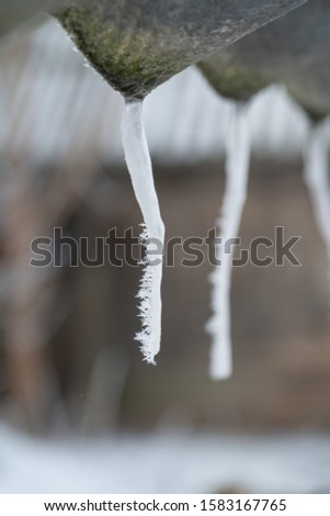 cold winter day with icicles 